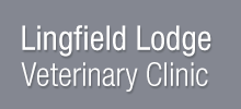 lingfield lodge veterinary clinic