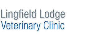 lingfield lodge veterinary clinic